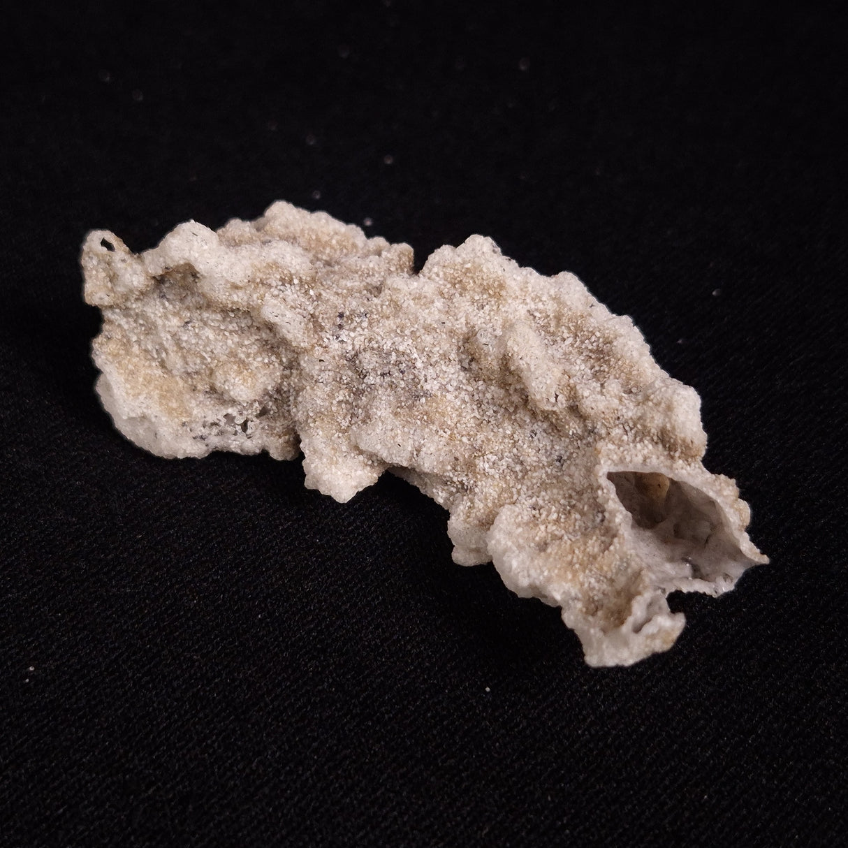 FULGURITE LIGHTNING GLASS, Queensland, Australia XFA029