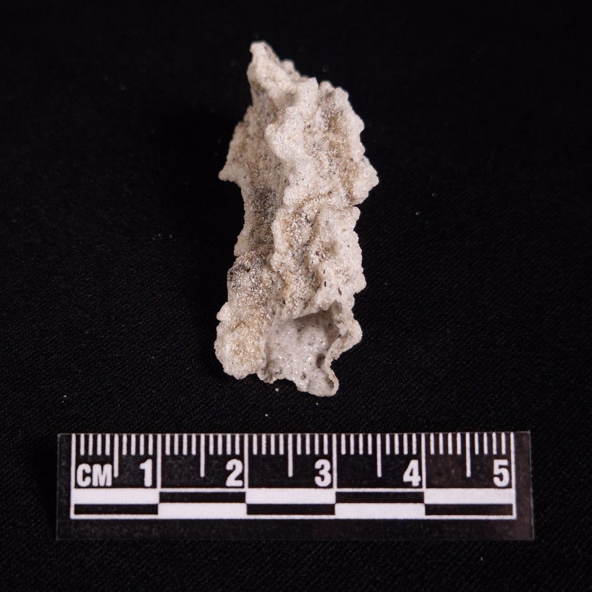 FULGURITE LIGHTNING GLASS, Queensland, Australia XFA029