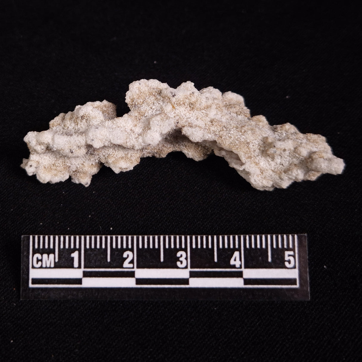 FULGURITE LIGHTNING GLASS, Queensland, Australia XFA031