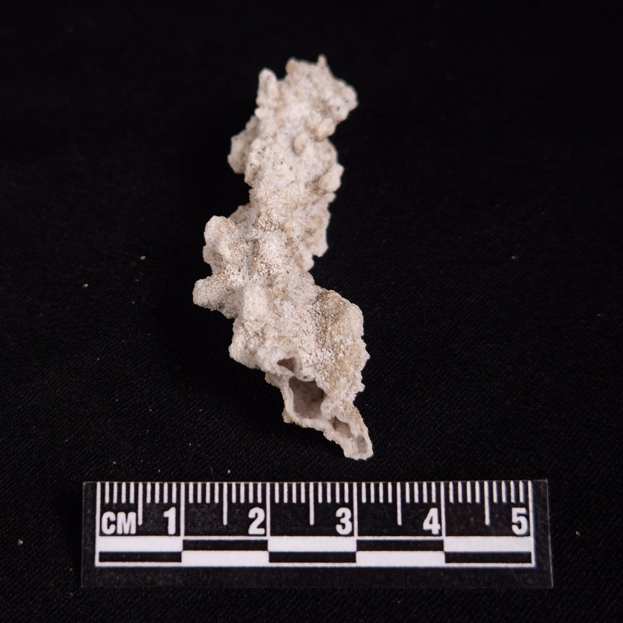 FULGURITE LIGHTNING GLASS, Queensland, Australia XFA031