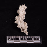FULGURITE LIGHTNING GLASS, Queensland, Australia XFA031