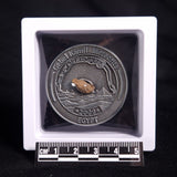 GEBEL KAMIL METEORITE COLLECTORS COIN 303, Egypt CGK303