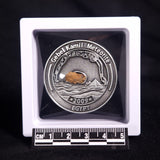GEBEL KAMIL METEORITE COLLECTORS COIN 307, Egypt CGK307