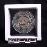 GEBEL KAMIL METEORITE COLLECTORS COIN 308, Egypt CGK308