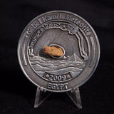 GEBEL KAMIL METEORITE COLLECTORS COIN 309, Egypt CGK309
