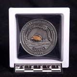 GEBEL KAMIL METEORITE COLLECTORS COIN 309, Egypt CGK309