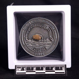 GEBEL KAMIL METEORITE COLLECTORS COIN 312, Egypt CGK312