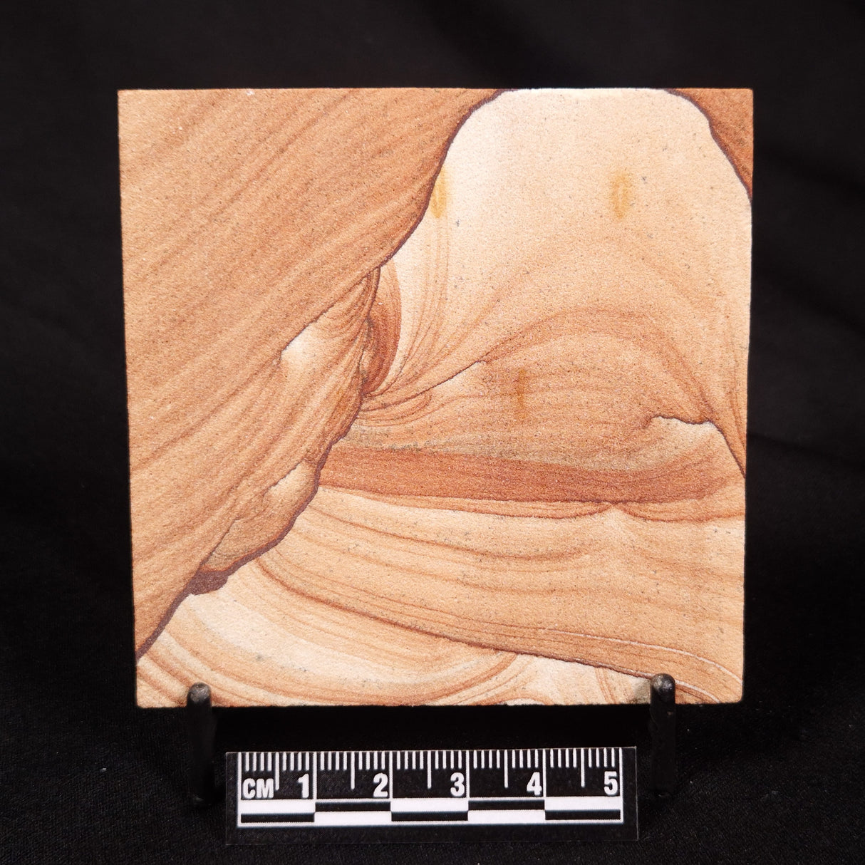 NAVAJO PICTURE SANDSTONE, USA ZNS001