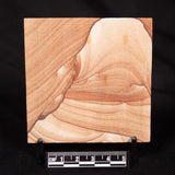 NAVAJO PICTURE SANDSTONE, USA ZNS001