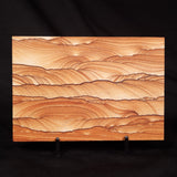 NAVAJO PICTURE SANDSTONE, USA ZNS006
