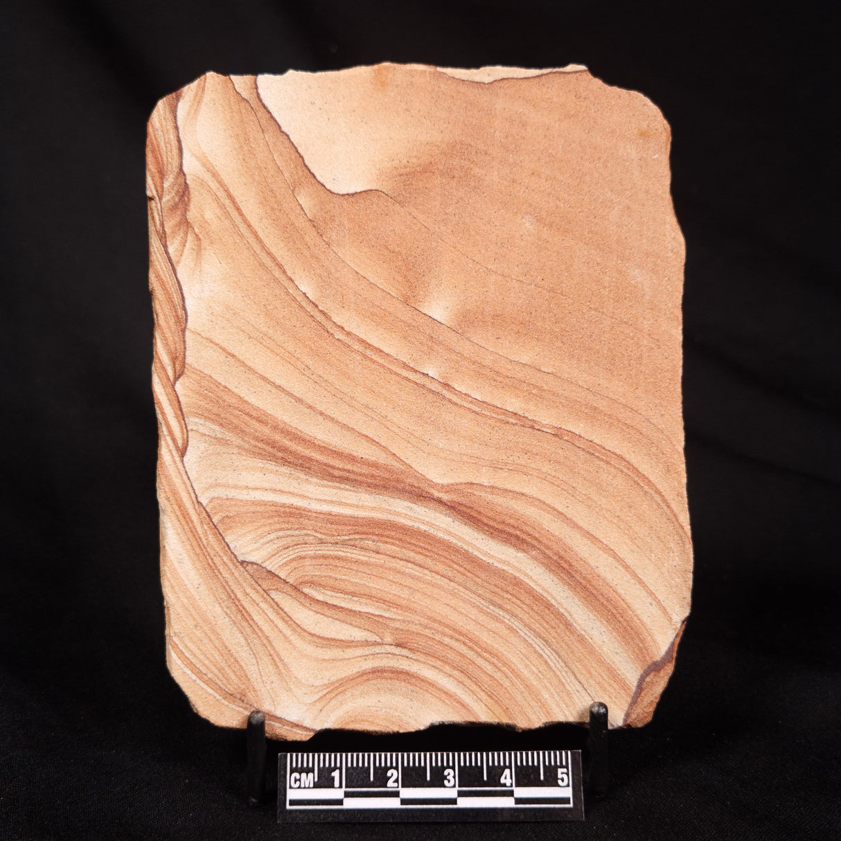 NAVAJO PICTURE SANDSTONE, USA ZNS007