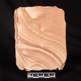 NAVAJO PICTURE SANDSTONE, USA ZNS007
