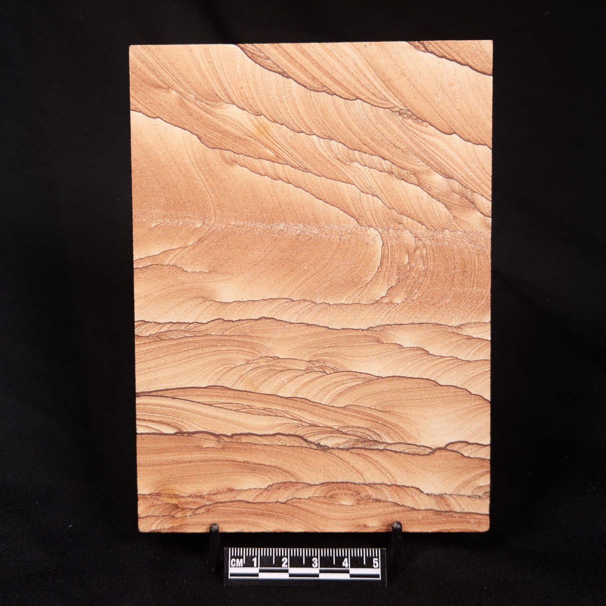 NAVAJO PICTURE SANDSTONE, USA ZNS010