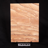 NAVAJO PICTURE SANDSTONE, USA ZNS010