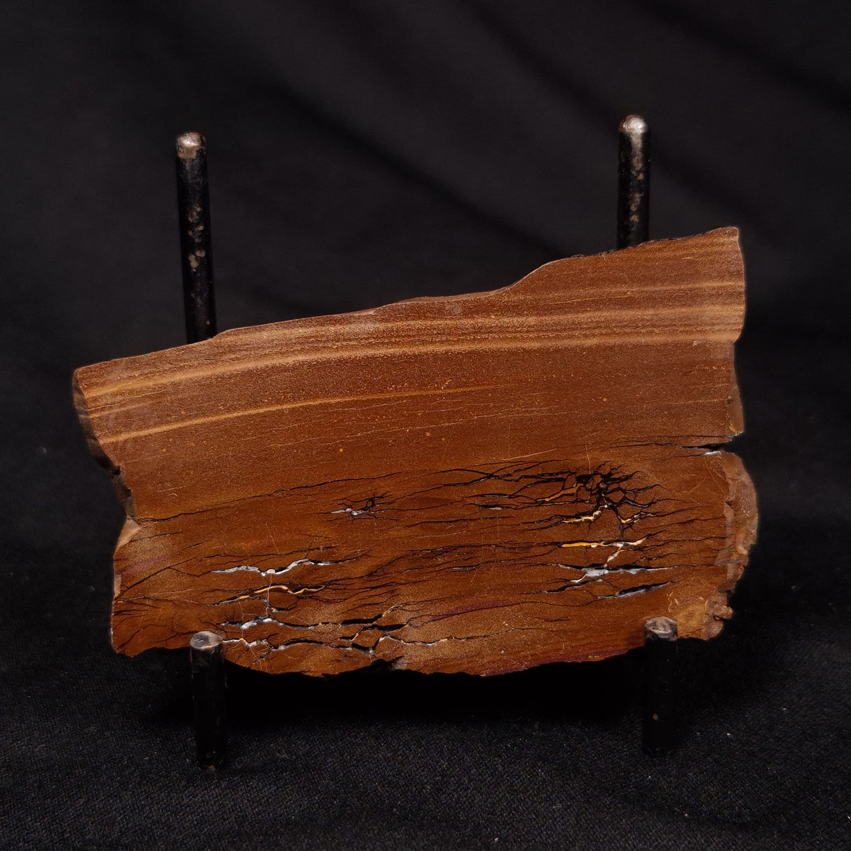 STROMATOLITE, Parda Formation, Early Cretaceous (Aptian), Australia ZPF013