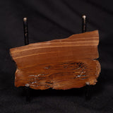 STROMATOLITE, Parda Formation, Early Cretaceous (Aptian), Australia ZPF013