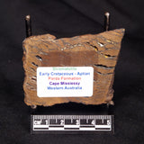 STROMATOLITE, Parda Formation, Early Cretaceous (Aptian), Australia ZPF015