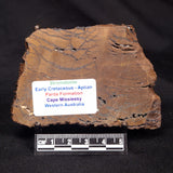 STROMATOLITE, Parda Formation, Early Cretaceous (Aptian), Australia ZPF023
