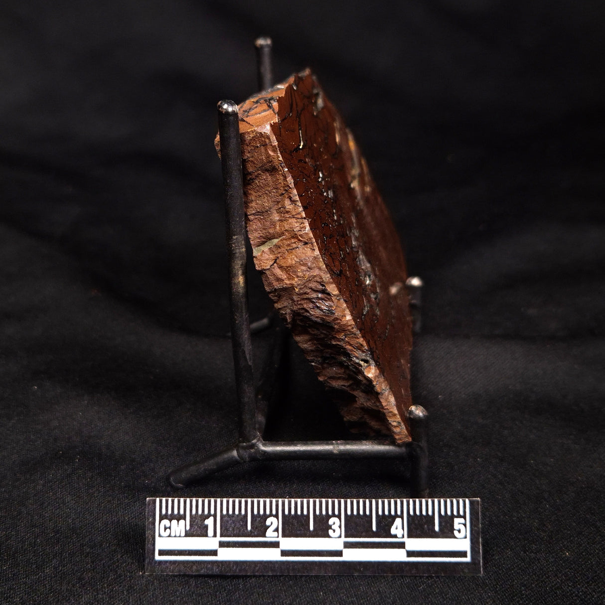 STROMATOLITE, Parda Formation, Early Cretaceous (Aptian), Australia ZPF025