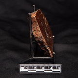 STROMATOLITE, Parda Formation, Early Cretaceous (Aptian), Australia ZPF025