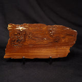 STROMATOLITE, Parda Formation, Early Cretaceous (Aptian), Australia ZPF026