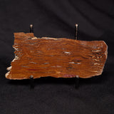 STROMATOLITE, Parda Formation, Early Cretaceous (Aptian), Australia ZPF028
