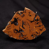 STROMATOLITE, Parda Formation, Early Cretaceous (Aptian), Australia ZPF029