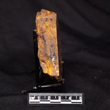 STROMATOLITE, Parda Formation, Early Cretaceous (Aptian), Australia ZPF029