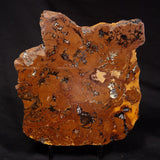 STROMATOLITE, Parda Formation, Early Cretaceous (Aptian), Australia ZPF033