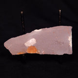 PORPITA LIAONANELLA PLANODISCIFORMIS, Australia ZPL003