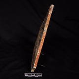 LINELLA AVIS STROMATOLITE, Neoproterozoic, Australia ZLA075