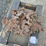 NATIVE COPPER SPECIMEN, Australia XNC001