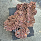 NATIVE COPPER SPECIMEN, Australia XNC002