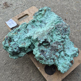 NATIVE COPPER SPECIMEN, Australia XNC004