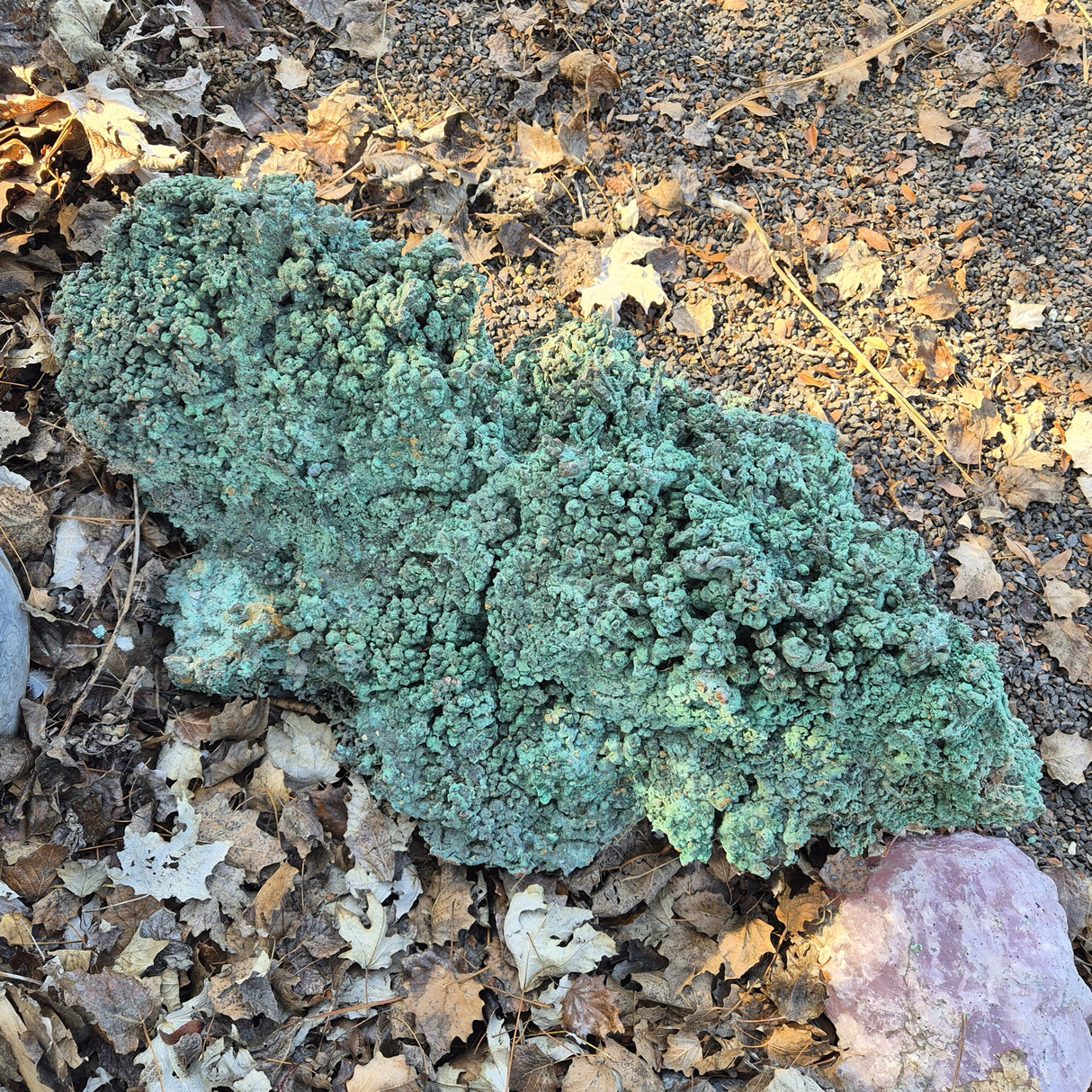 NATIVE COPPER SPECIMEN, Australia XNC007