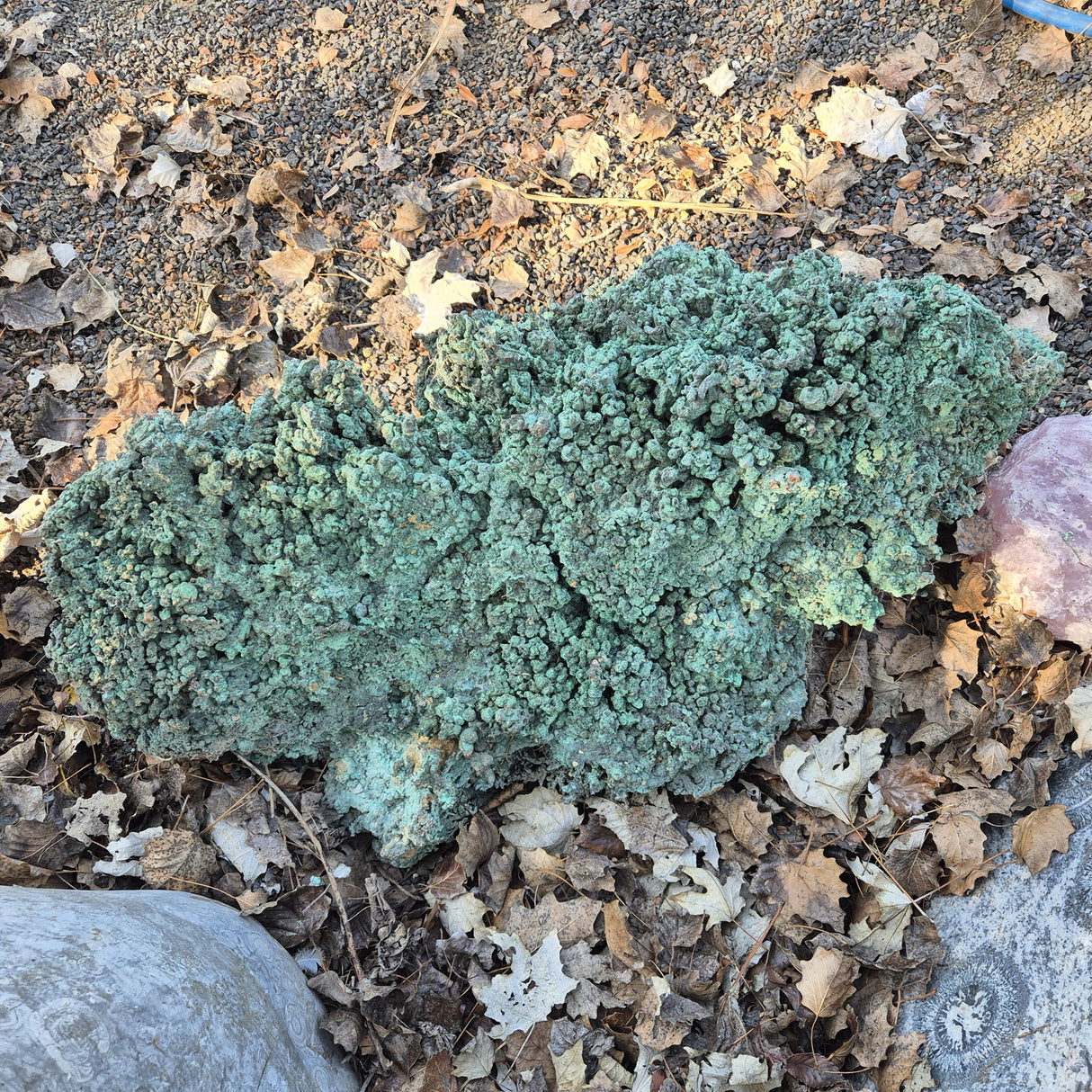 NATIVE COPPER SPECIMEN, Australia XNC007