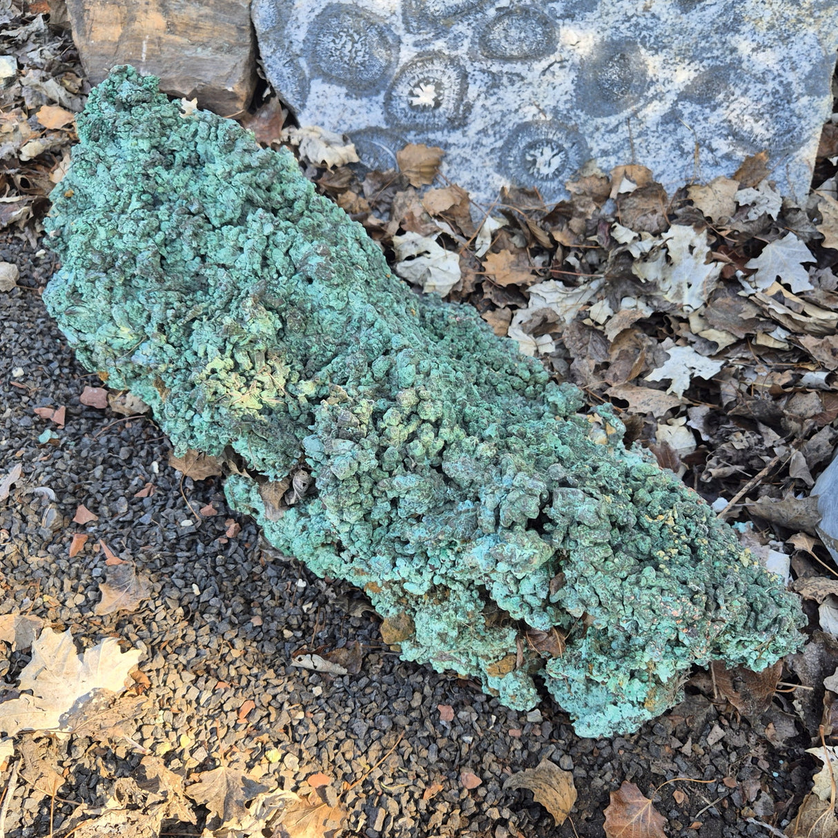 NATIVE COPPER SPECIMEN, Australia XNC007