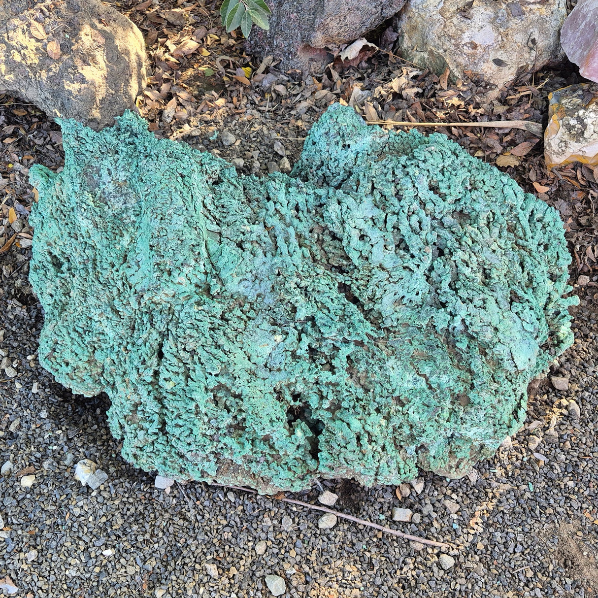 NATIVE COPPER SPECIMEN, Australia XNC006
