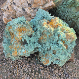 NATIVE COPPER SPECIMEN, Australia XNC008