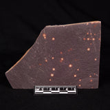ASTRONOMITE, Australia XAS002