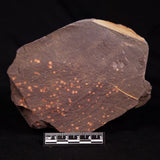 ASTRONOMITE, Australia XAS003