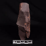 ASTRONOMITE, Australia XAS003