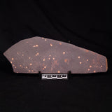 ASTRONOMITE, Australia XAS004