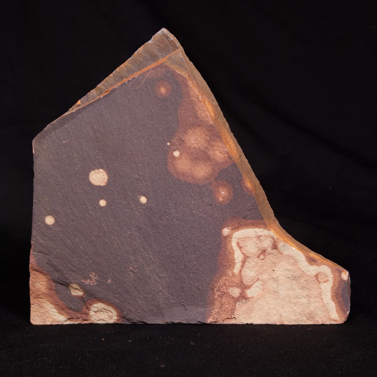 ASTRONOMITE, Australia XAS005