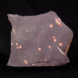 ASTRONOMITE, Australia XAS006