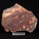 ASTRONOMITE, Australia XAS007