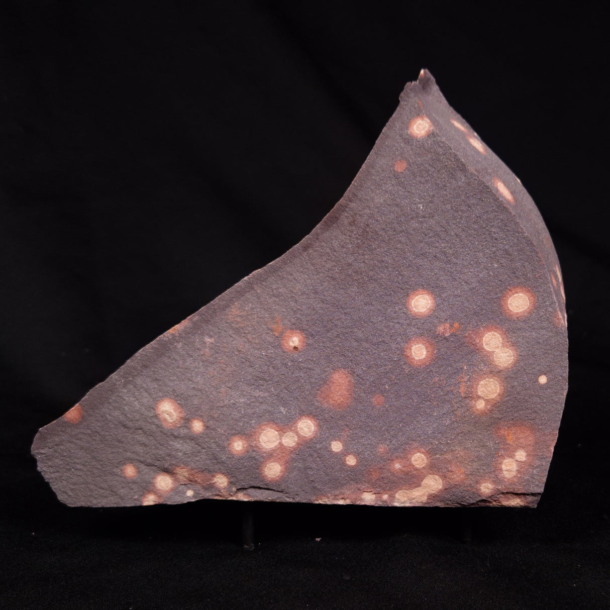 ASTRONOMITE, Australia XAS008