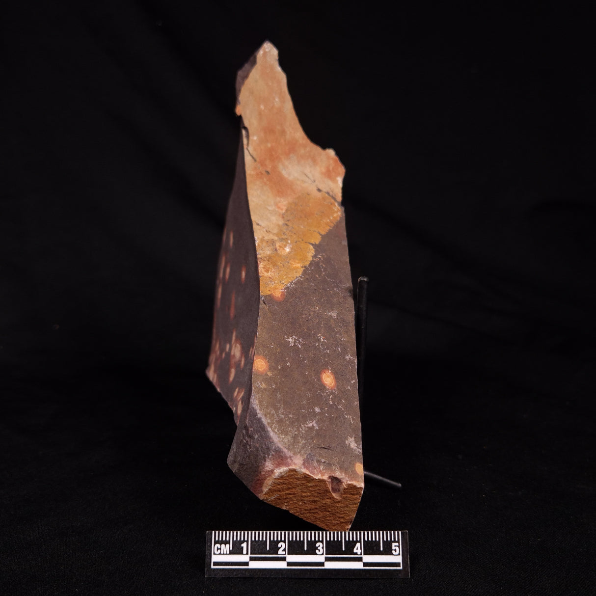 ASTRONOMITE, Australia XAS009