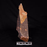 ASTRONOMITE, Australia XAS009