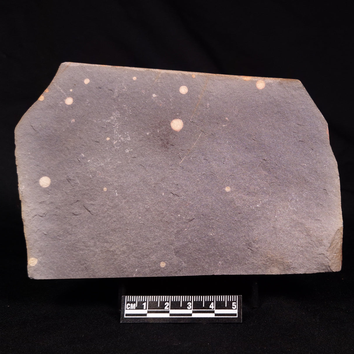 ASTRONOMITE, Australia XAS010
